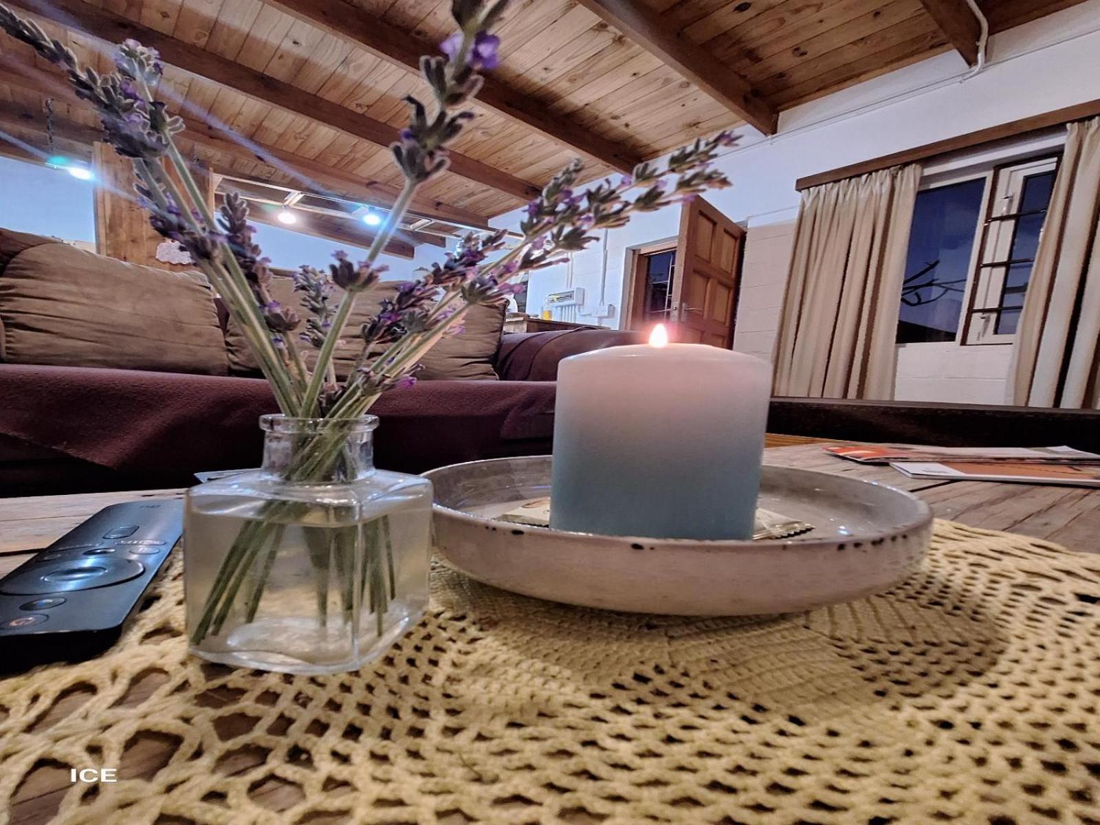 Wild Eden Self-Catering Accommodation Swakopmund Ruang foto