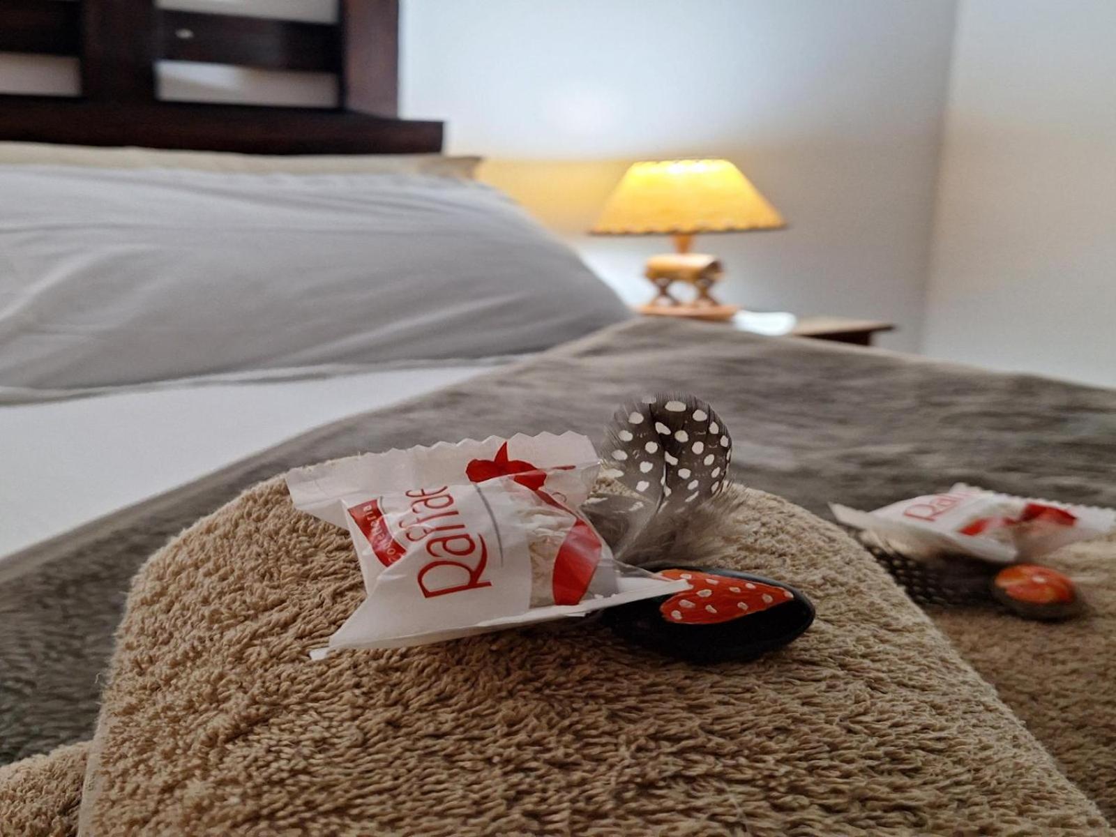 Wild Eden Self-Catering Accommodation Swakopmund Ruang foto
